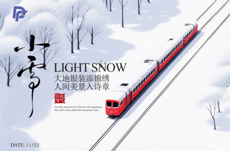 Download - dieselfuelinjectors