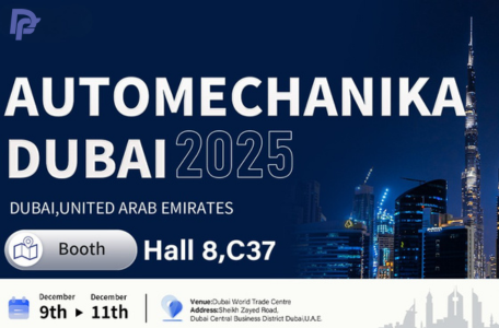 Download - dieselfuelinjectors